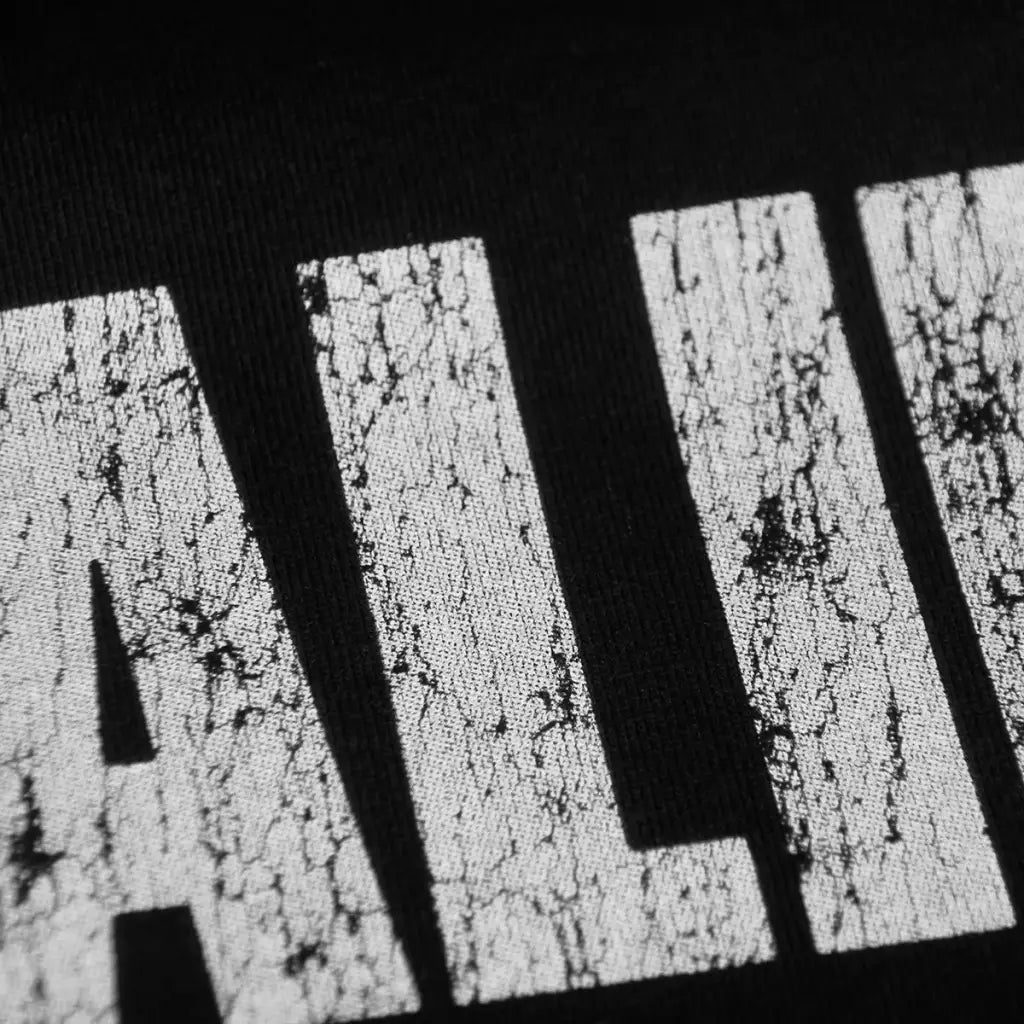 The Stalin Band T-shirt - Japanese Hardcore Punk Rock Graphic Shirt | Core Capsule